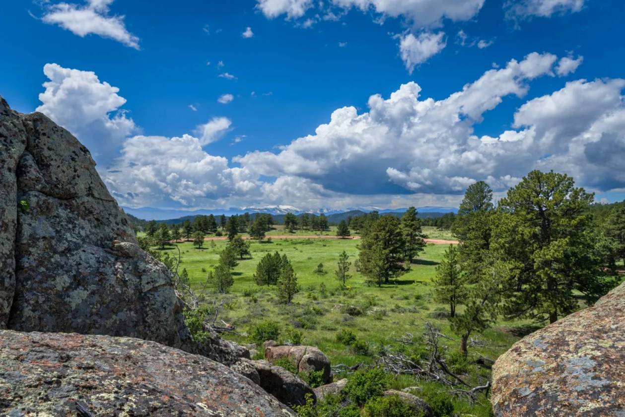 Lots in luxury, gated, mountain community - photo 28