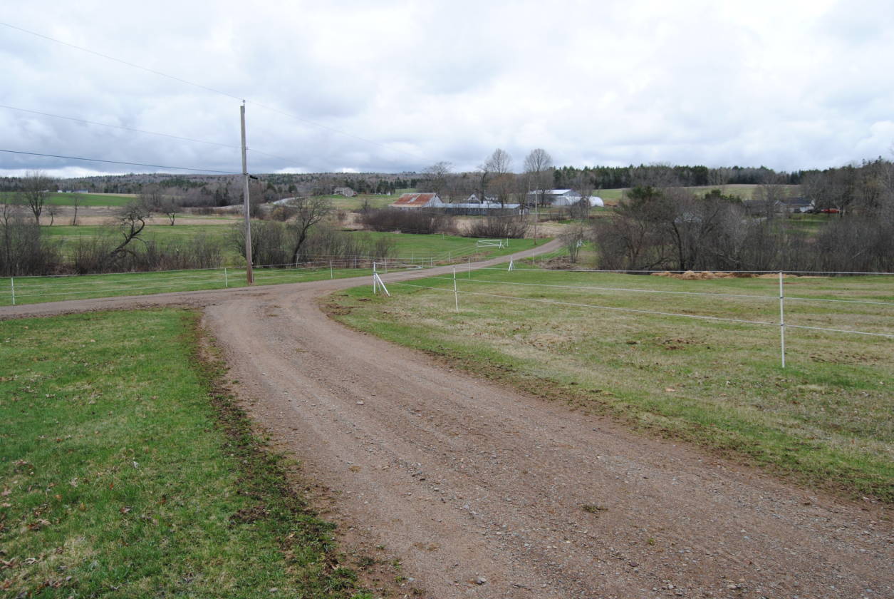 Nova Scotia Canada Horse Lover's Paradise Upper Nine Mile River