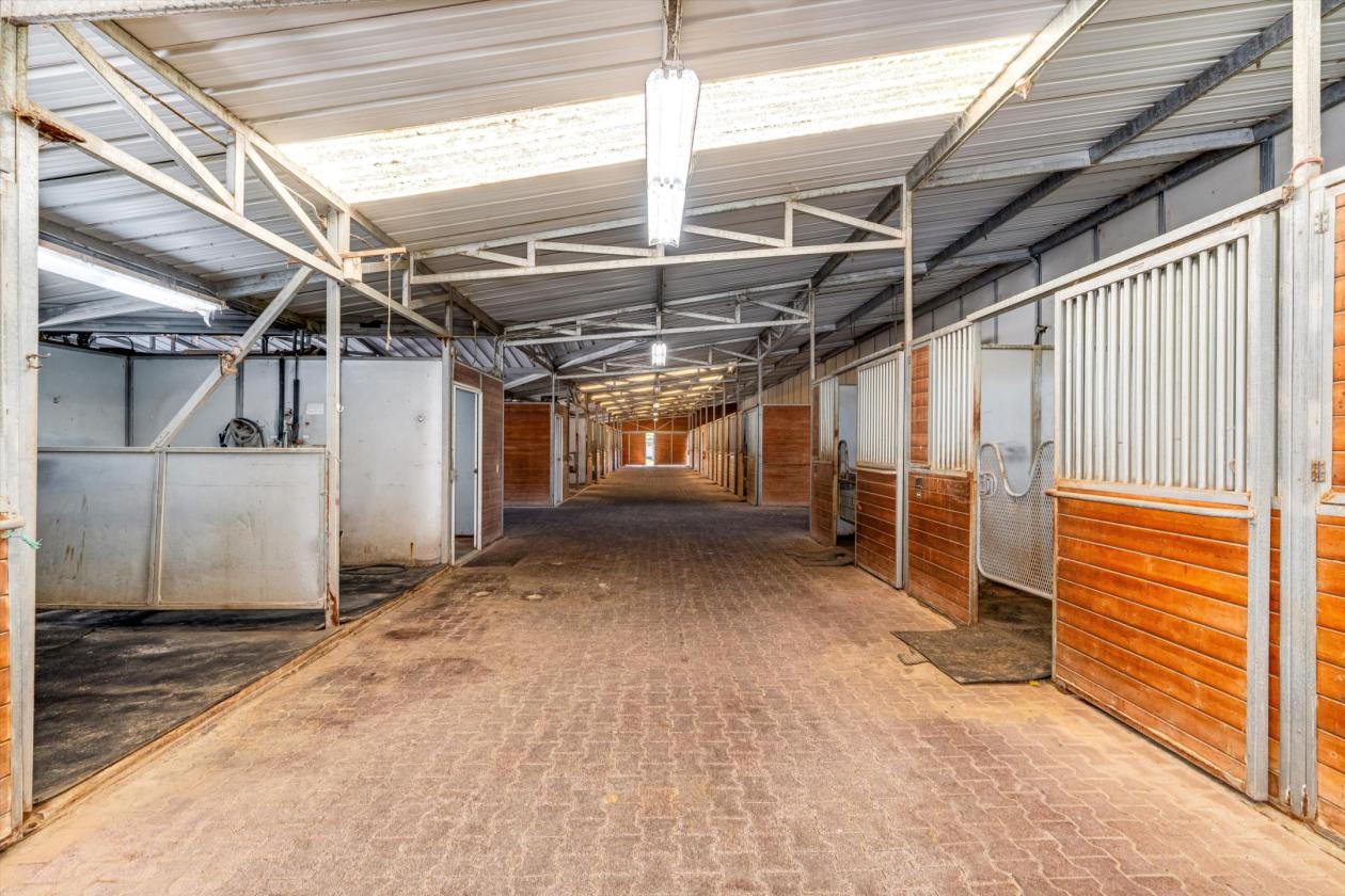 Where World-Class Pinot Meets Premier Equestrian - photo 18