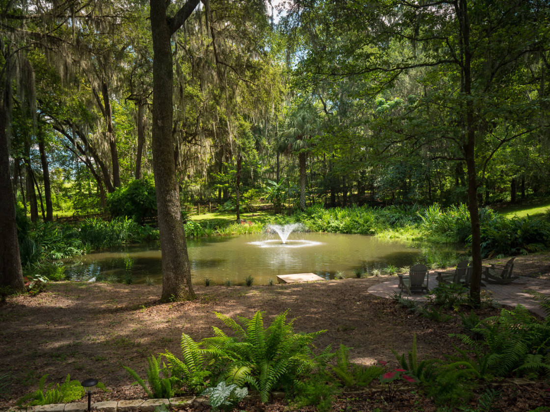 Horse Property /Alachua, Fl. Alachua, Alachua County, Florida