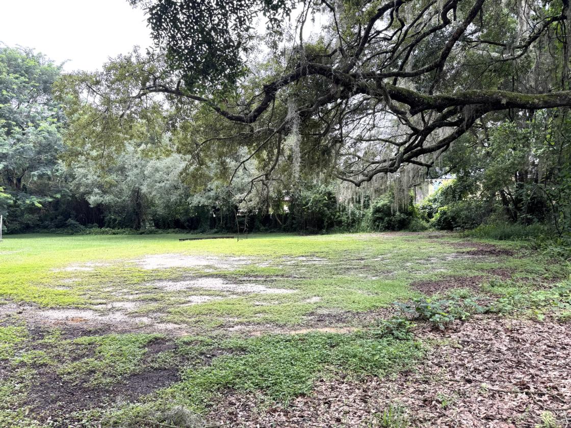 Country Charm, Suburban Ease in Central Florida - photo 6