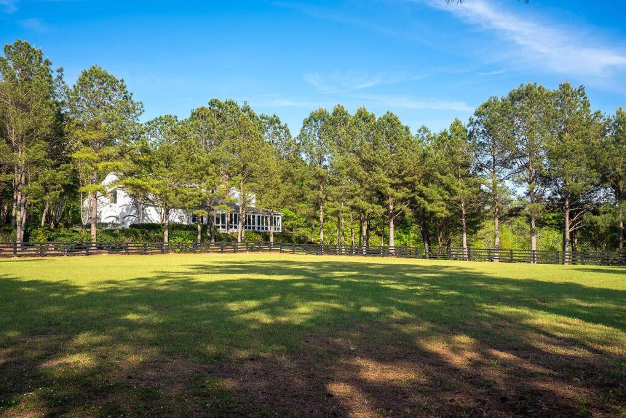Exceptional Equestrian Living in Mt Vintage - photo 20