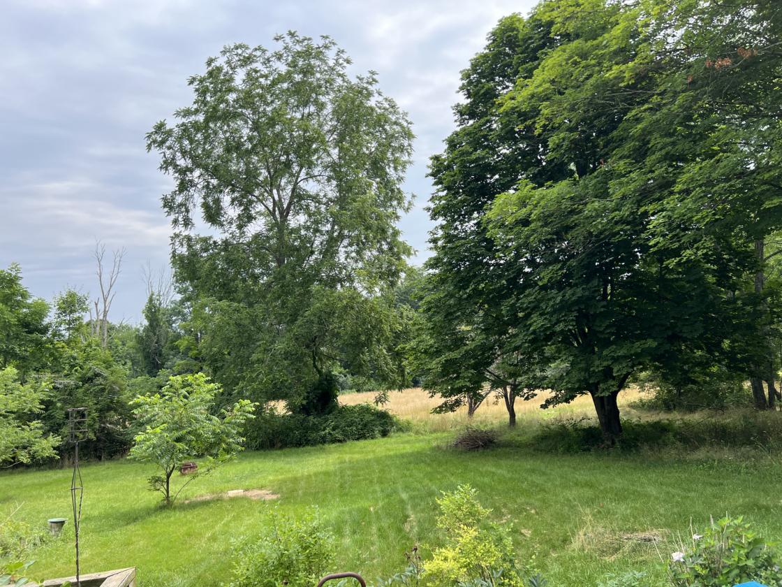 9.4 Acres + Farmhouse - photo 7