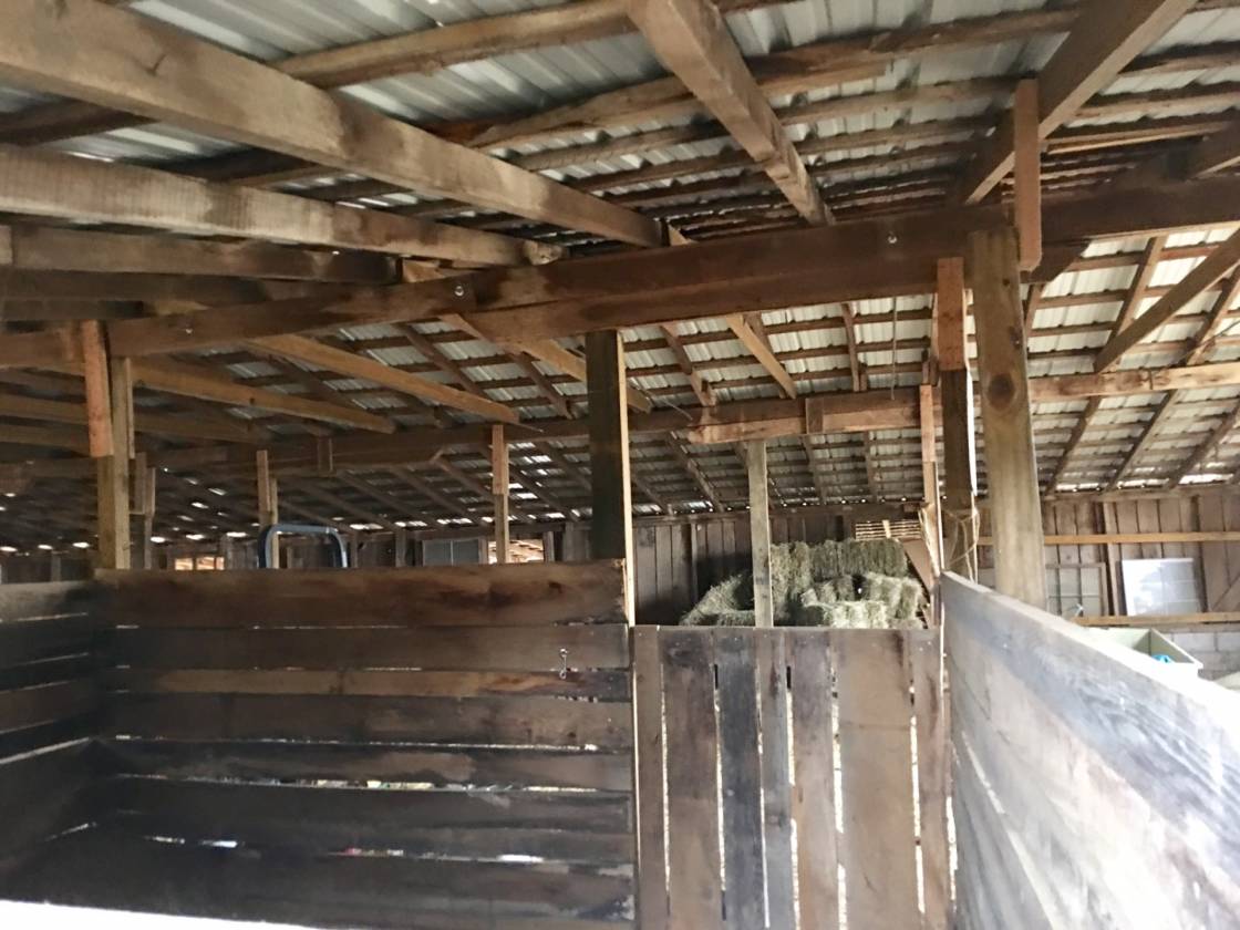 30+ Acre Horse Farm Surrounded by the Blue Ridge &... Roaring River