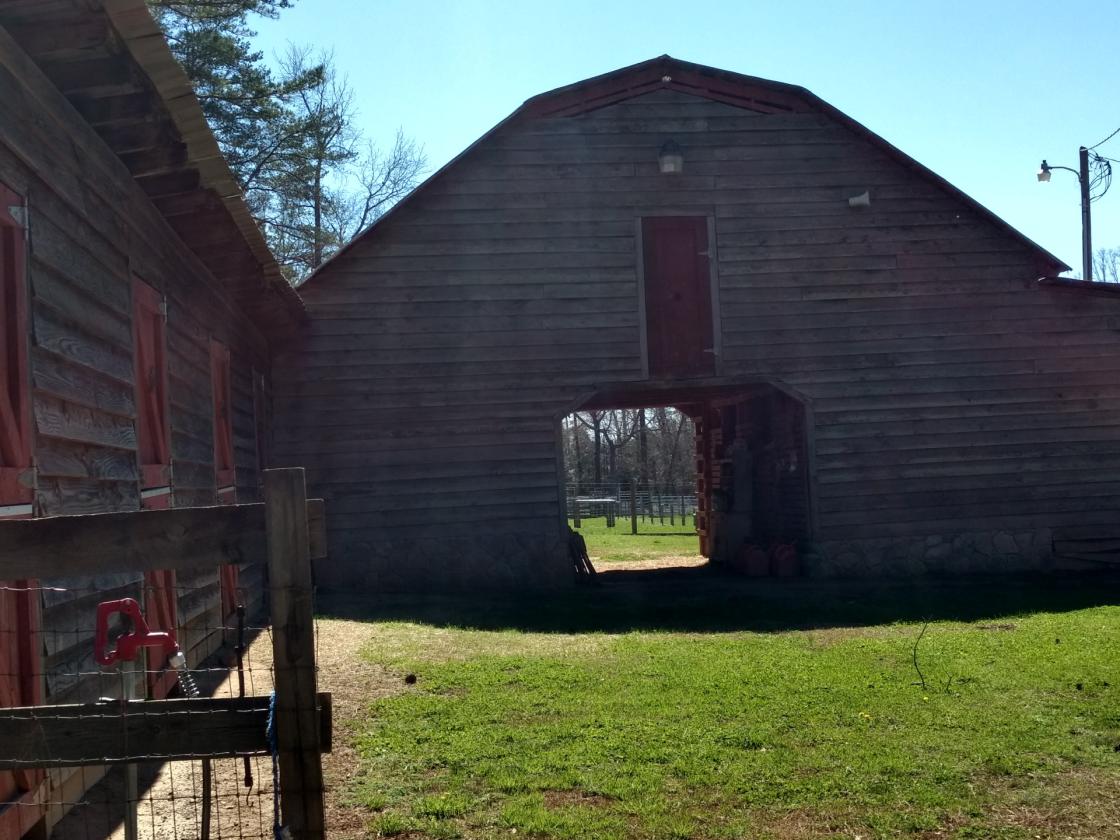 27.5 acre horse/cattle farm with paddocks and pond - photo 8