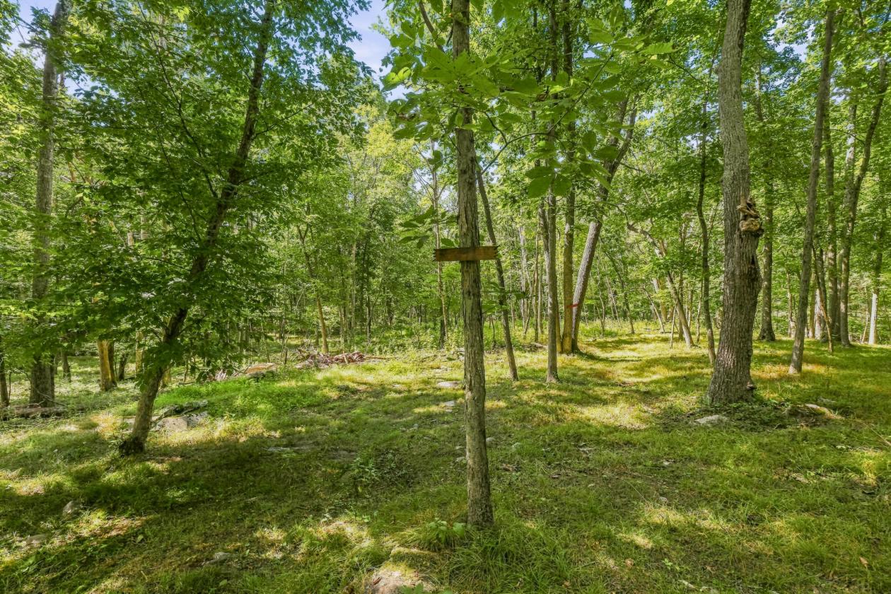 Private 5+ Acre Mountain-Top Equestrian Property - photo 27