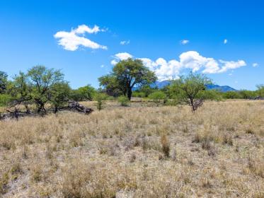 Property image.