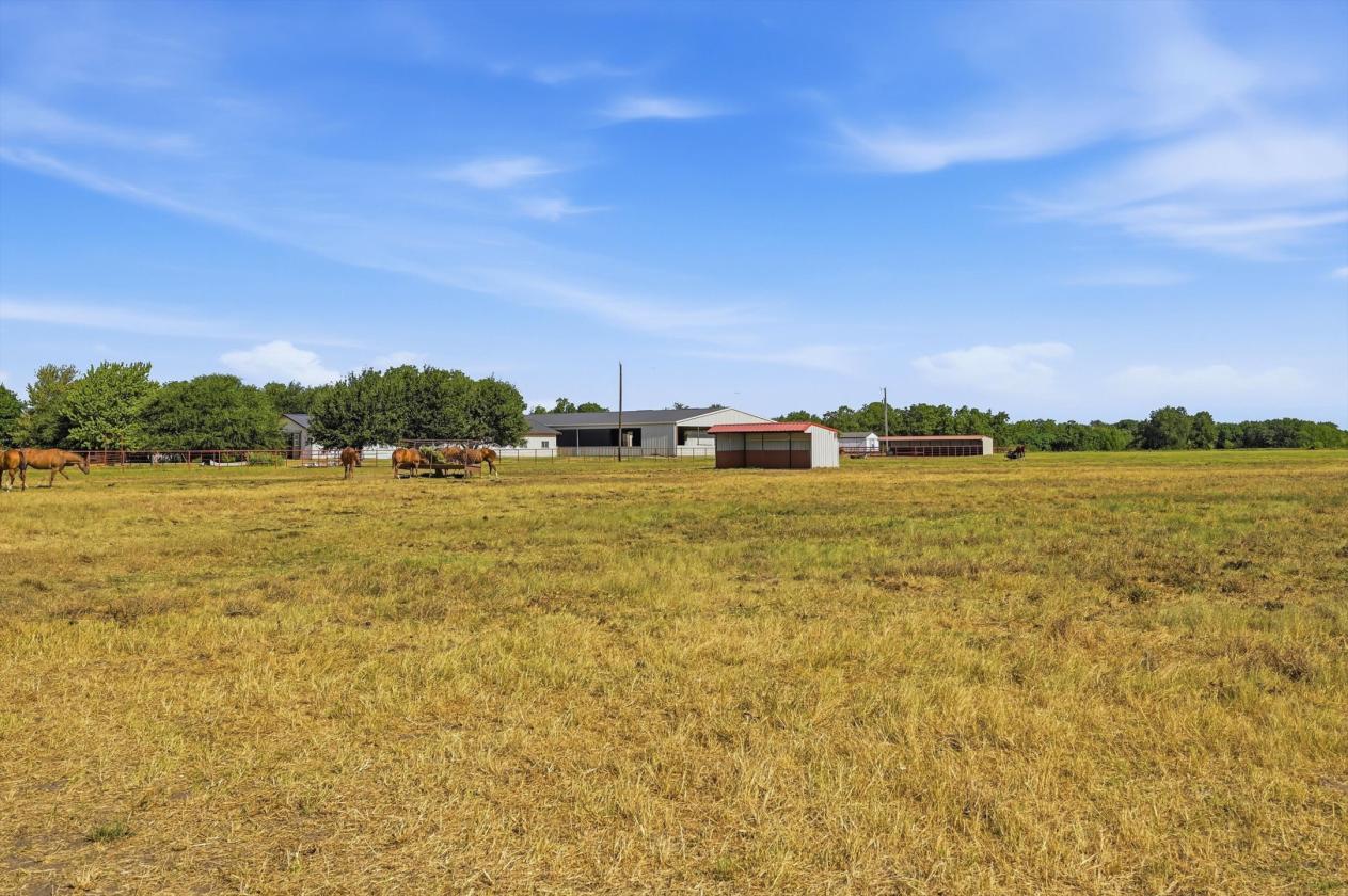 Peaceful Country Living on 15 Acres - photo 27