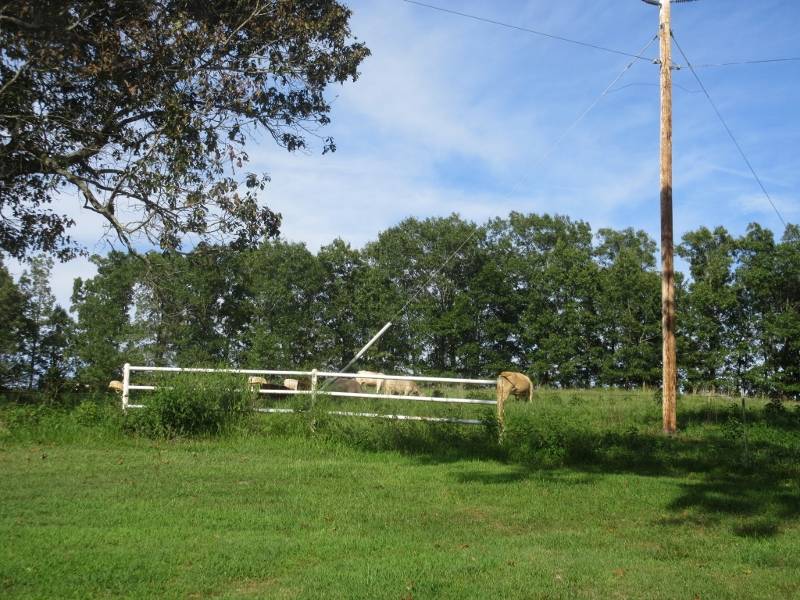 Horse property with Mark Twain National Forest on Two Borders Squires