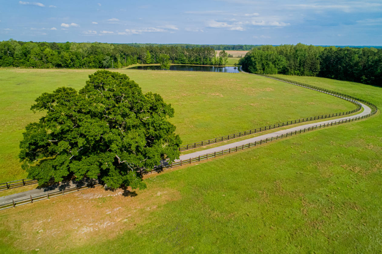 Farm with 85 Acres! Claxton, Evans County,