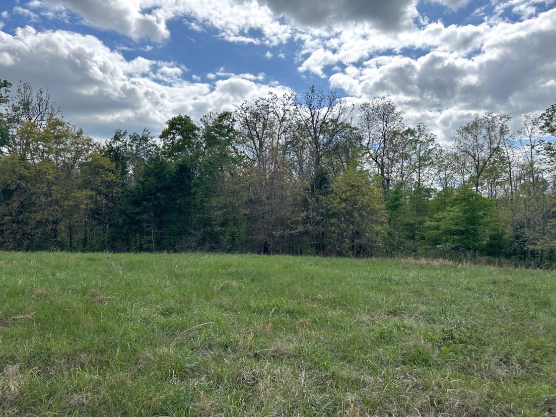 139 Acre Farm - Horse & Livestock Ready - photo 14
