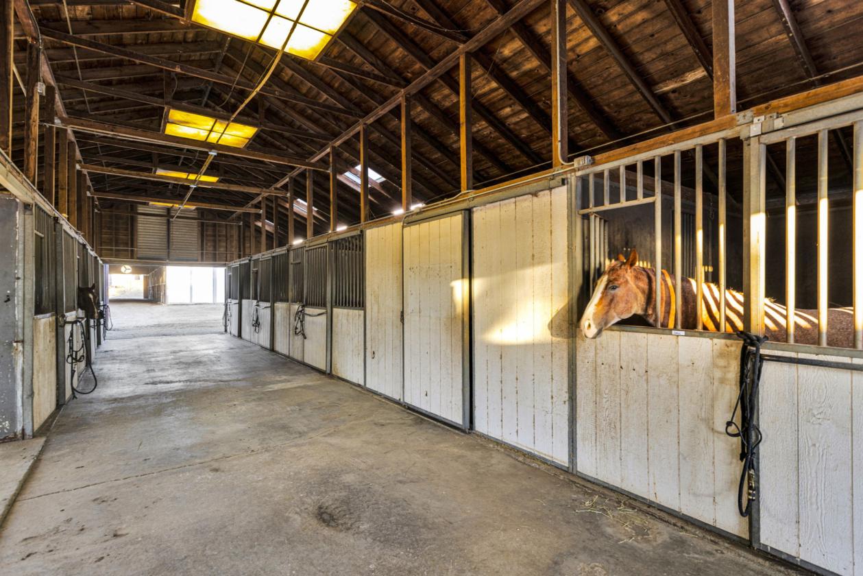 Equestrian Estate Near Wine Country - photo 17