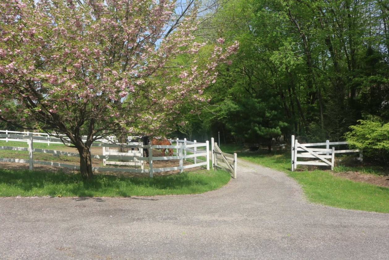 IDYLLIC 9 ACRE HORSE FARM COMPLETE WITH 6 STALL MORTON... Wantage