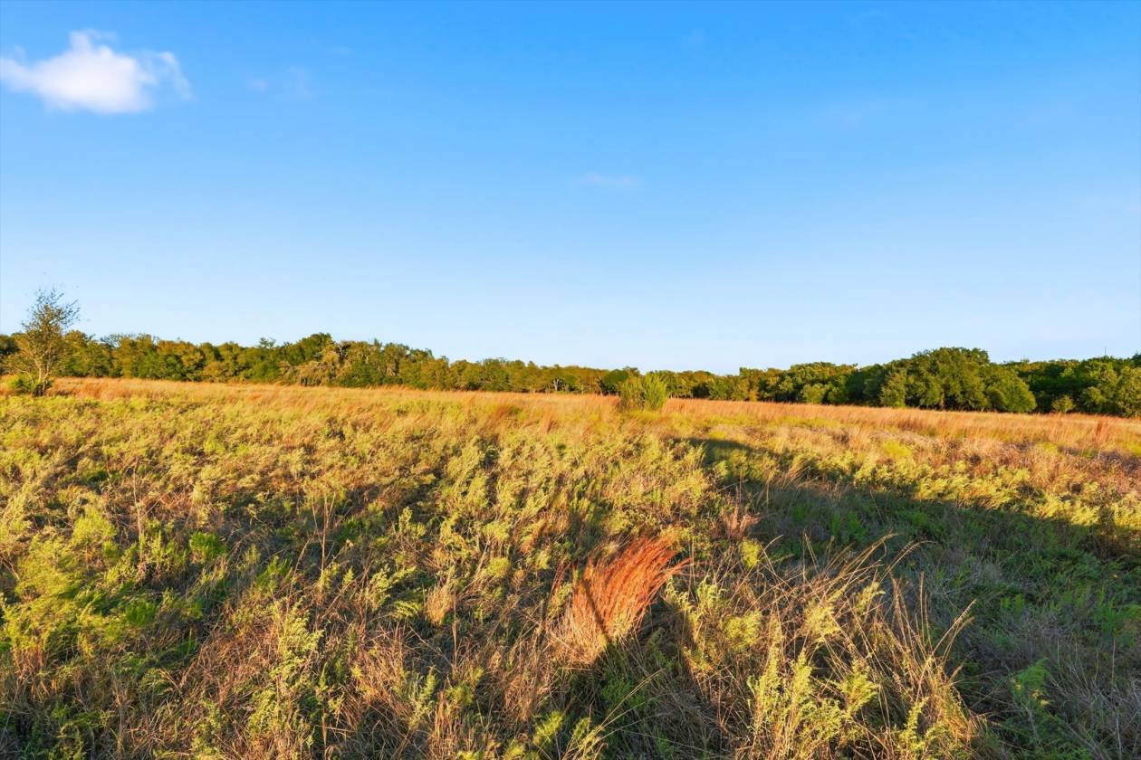 40 Acre Ranchette Near Bluejack Ranch in Aledo ISD - photo 24