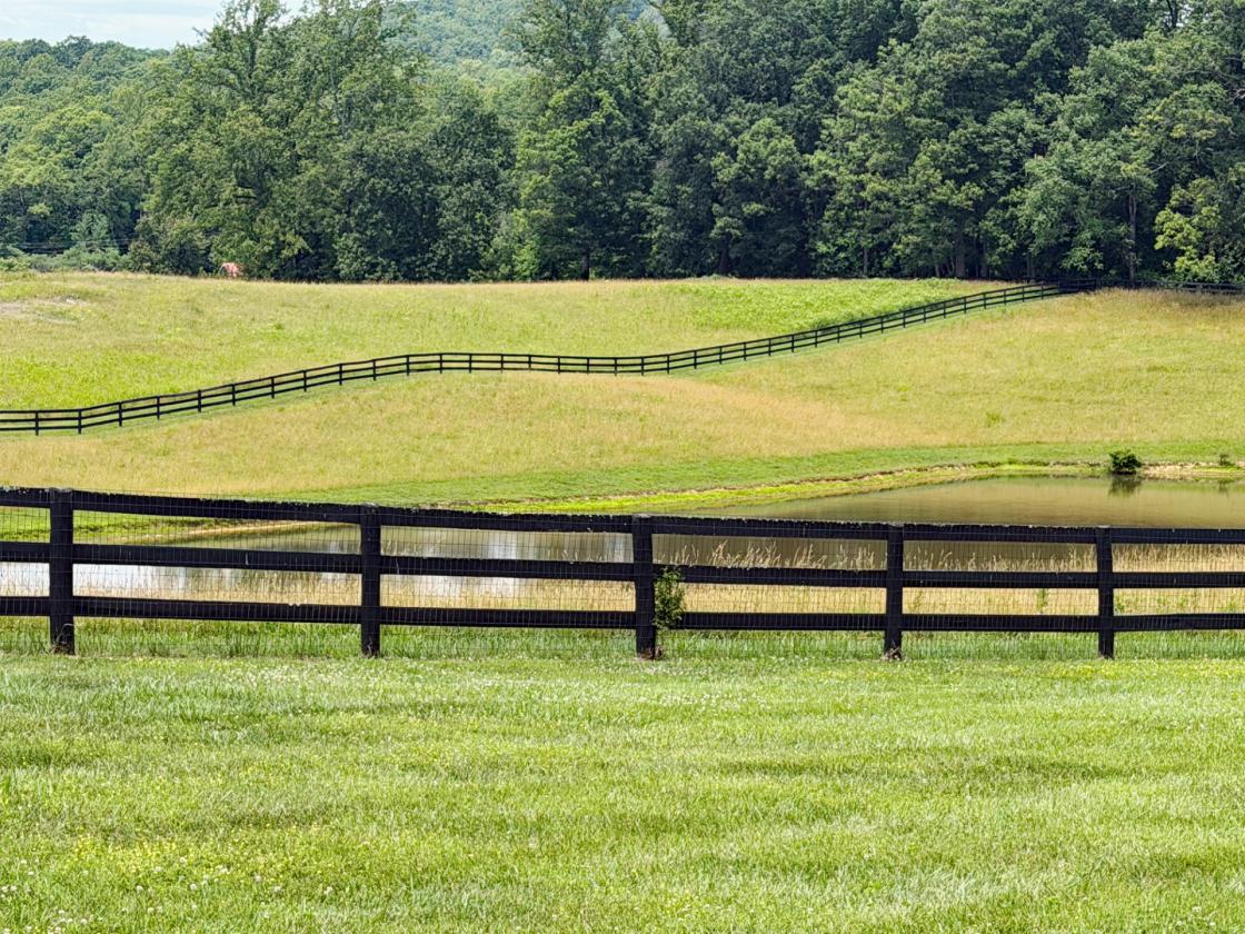 Mountain Shadow Farm - photo 15