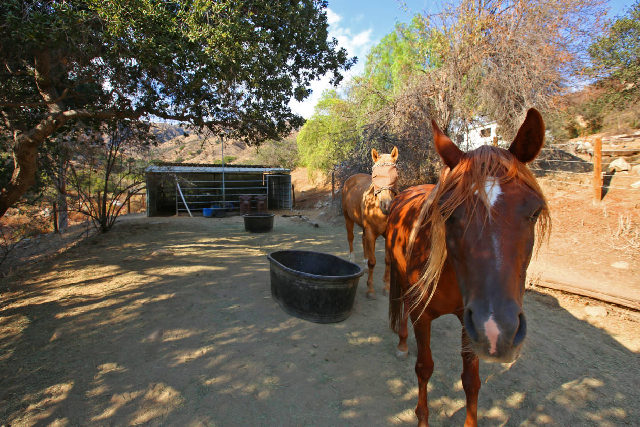 The Riverwood Ranch Horse Property Los Angeles, Los Angeles County, California