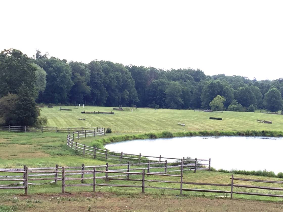 Black River Farm Tewksbury, Hunterdon County, New Jersey Horse