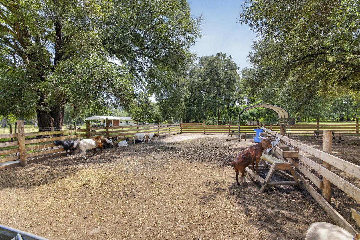 10-acre agricultural property - photo 14