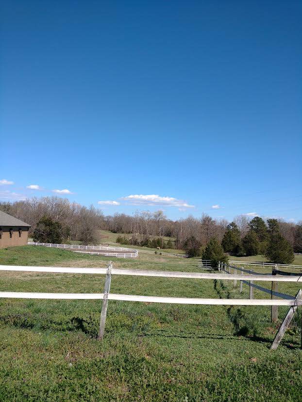 27.5 Acre horse farm with county home. Waxhaw, Union County, North Carolina Horse Properties
