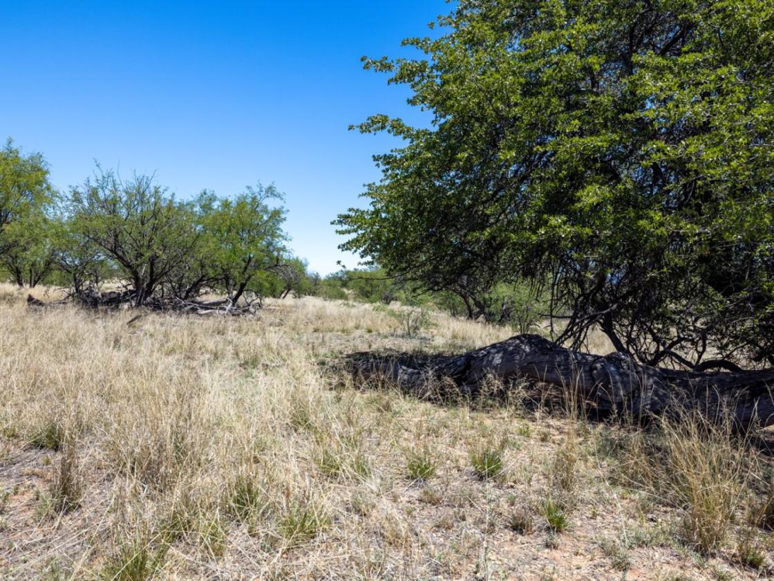 Ranch land near Tucson, Used in movie " Tin Cup" - photo 4