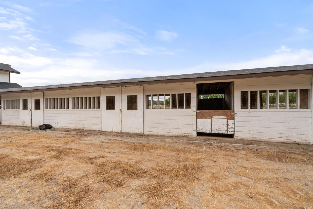 Roguemere Ranch River Equine Elegance - photo 19