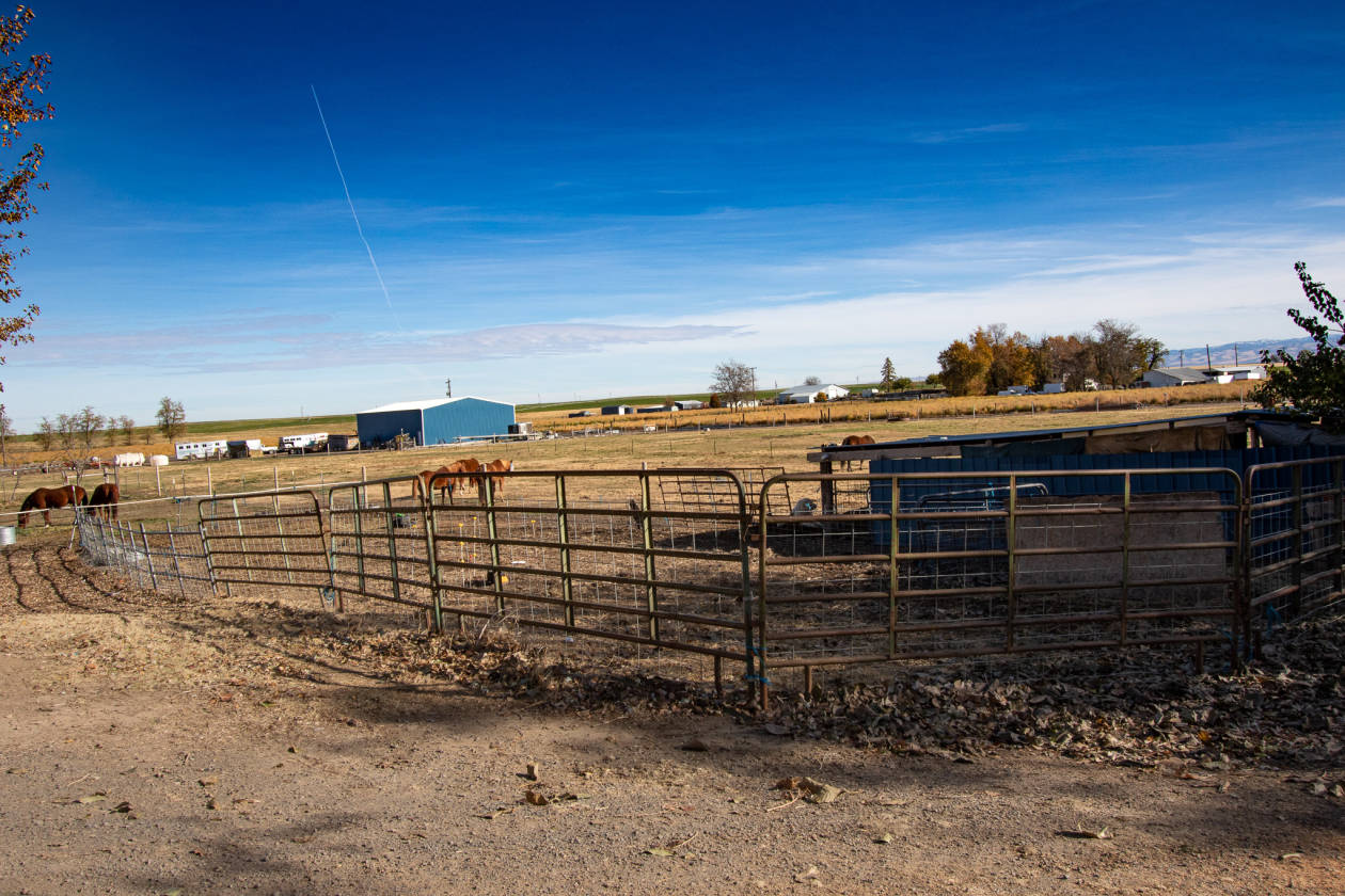 Horse properties with 2 houses and views of the... Milton