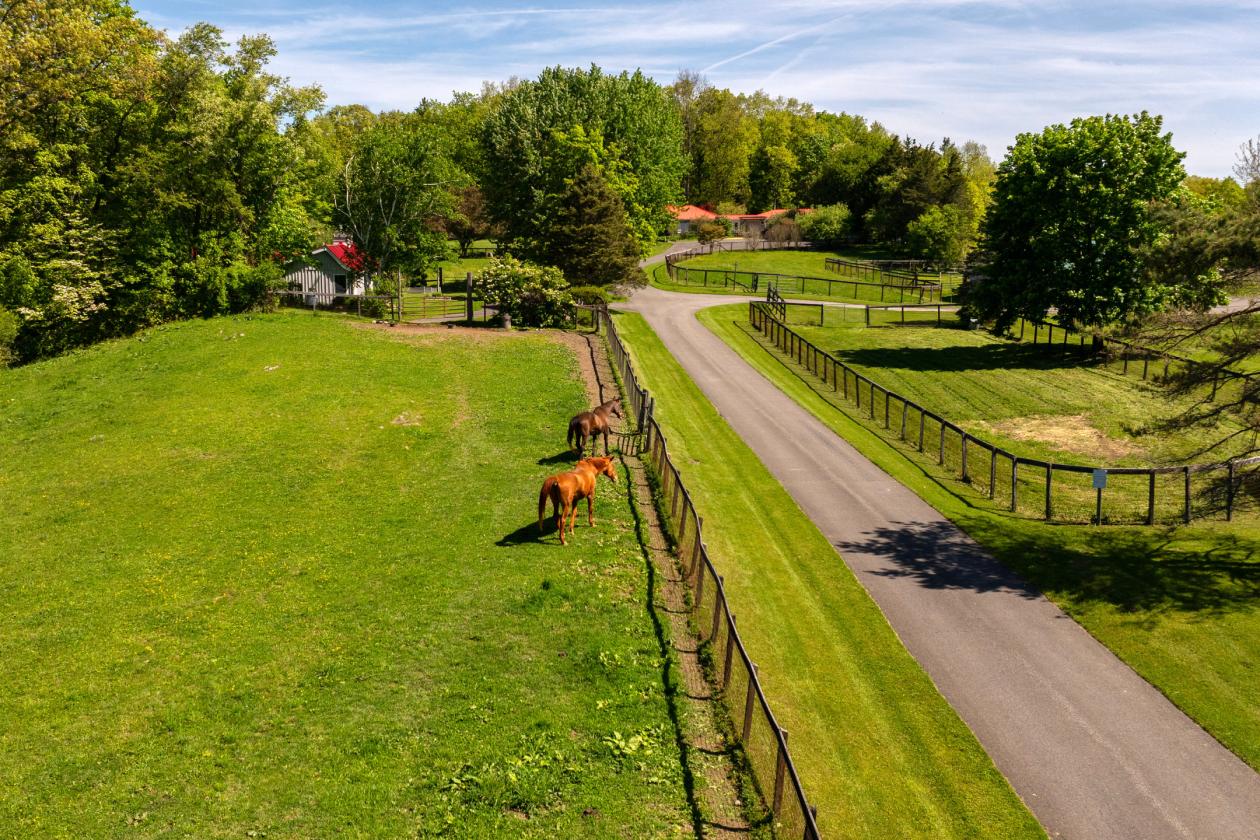 WhistleWood Farm - photo 2