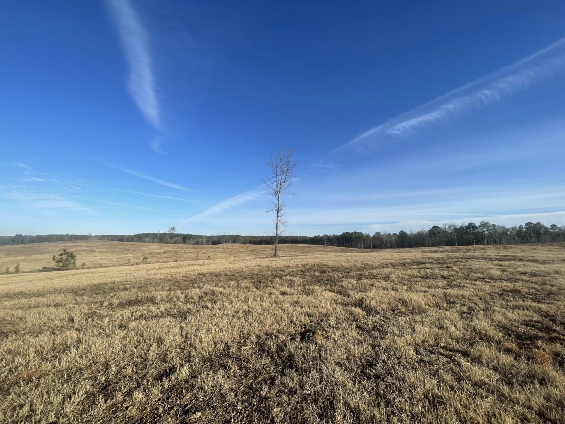 160 Acres in Shelby County w/ pastures and lake - photo 24