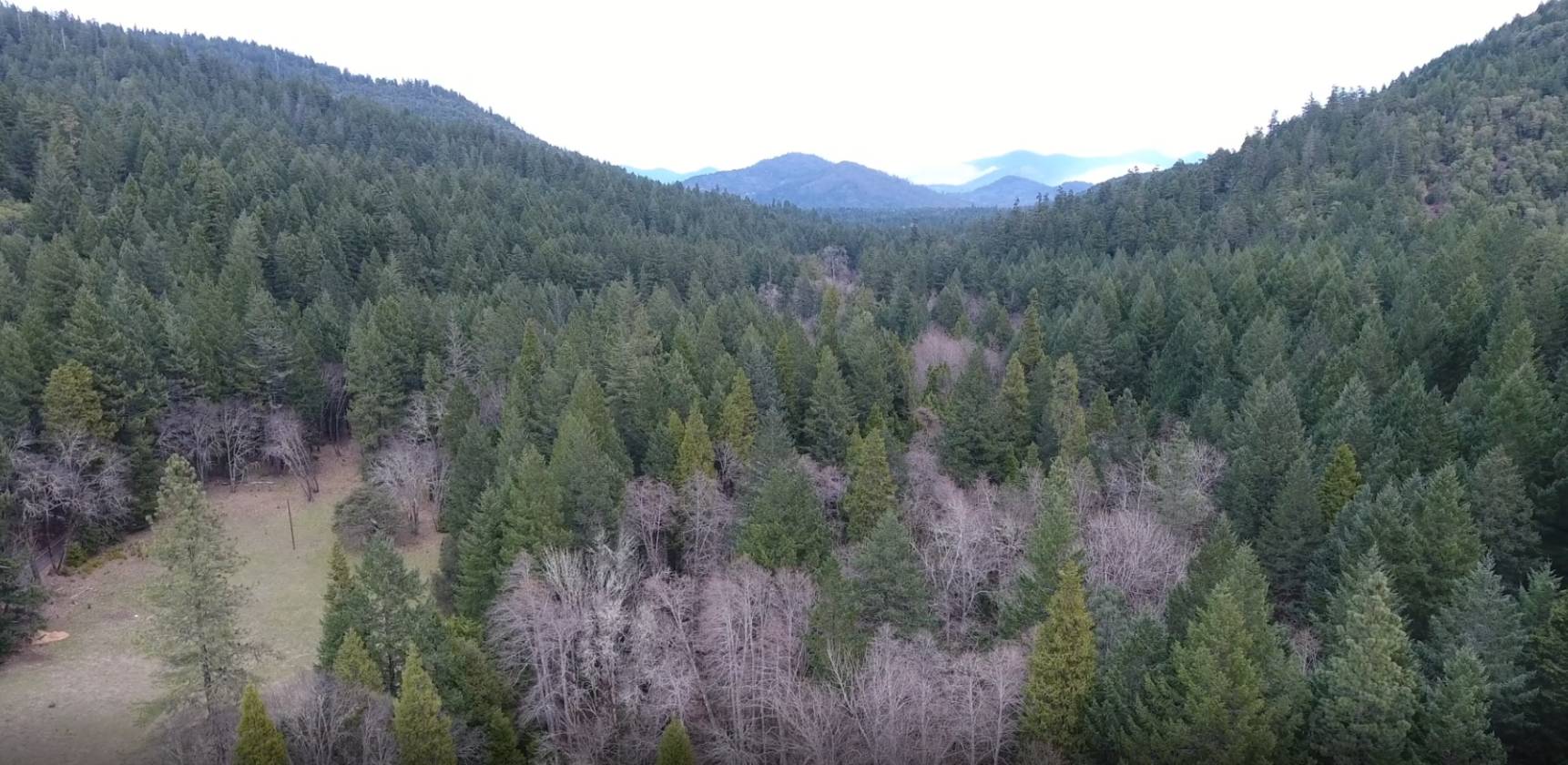 Southern Oregon property with privacy & functional land has water