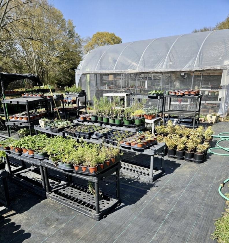 HORSE OR HOBBY FARM - FARMSTAND - GREENHOUSE - photo 9
