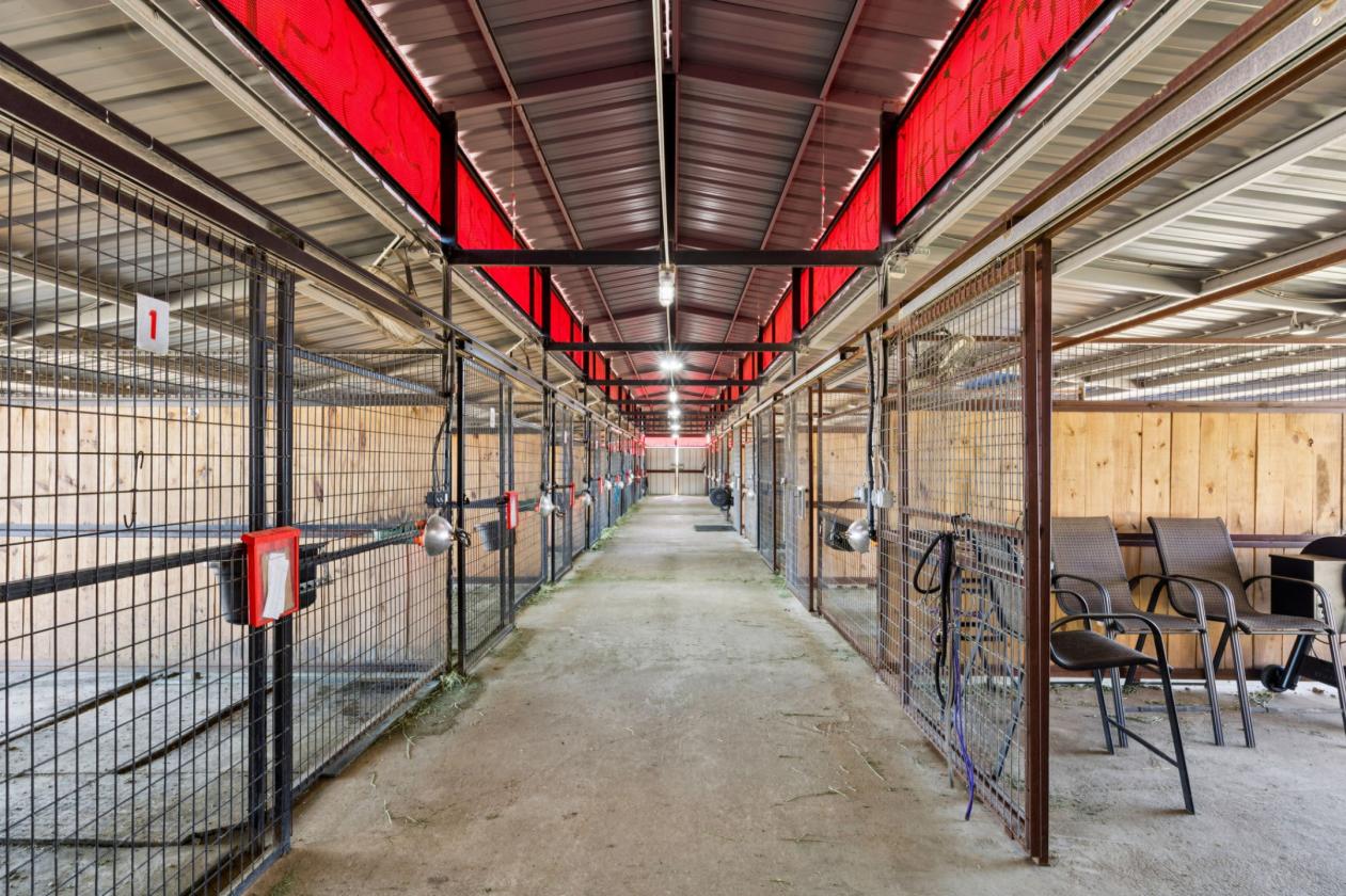 Premier Equestrian Facilities - photo 8