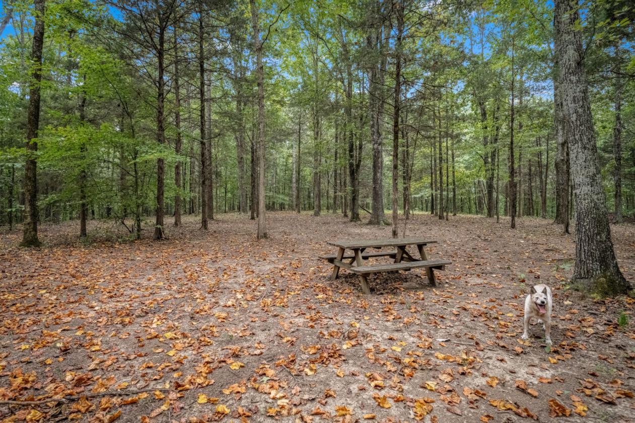 Trail Riding Dreams and privacy galore!! - photo 23