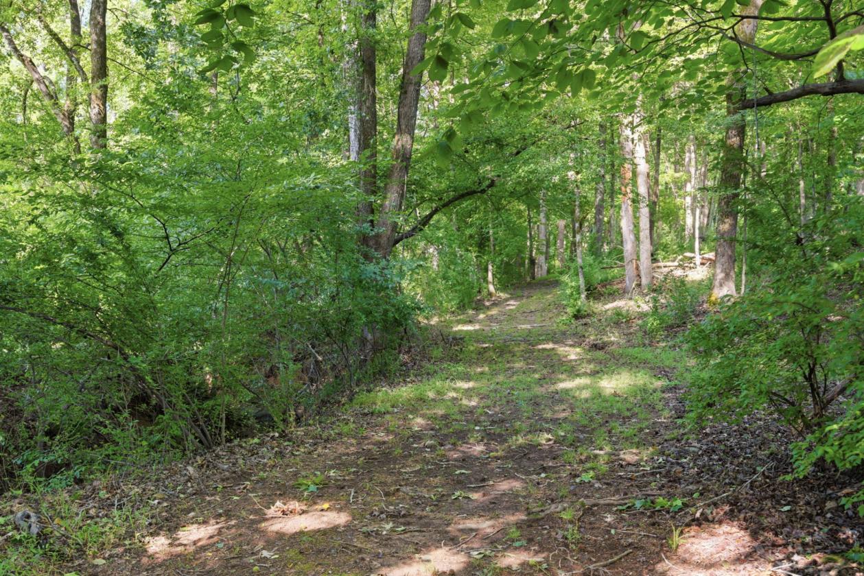 Luxury Equestrian Estate on 11.6 Acres - photo 28