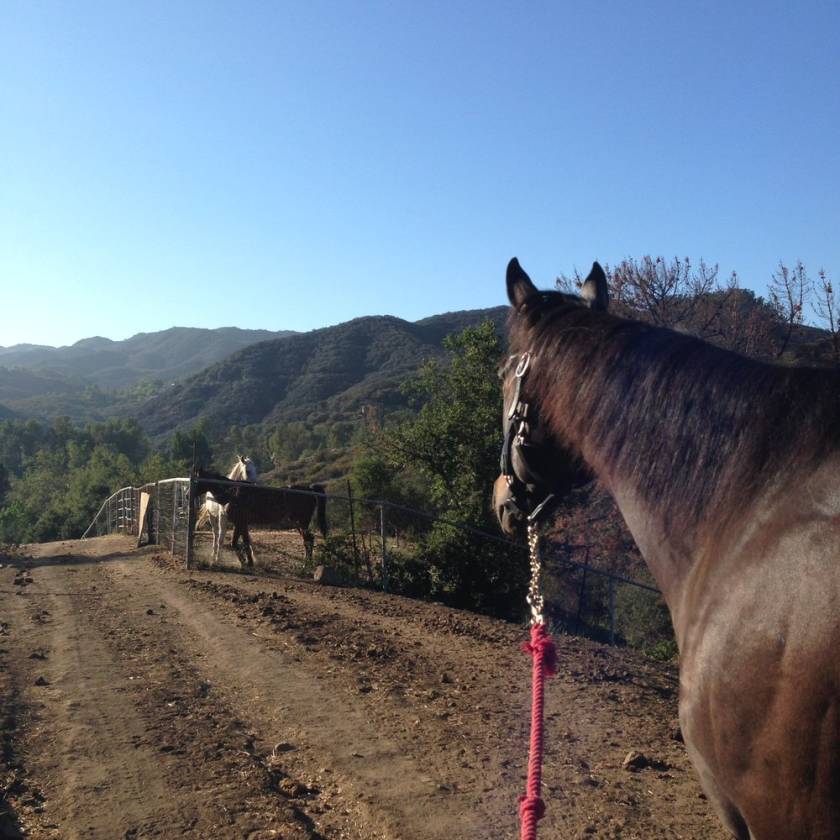 PRIVATE EQUESTRIAN COMPOUND • 82.7 ACRE MALIBU RANCH Malibu, Los Angeles County, California