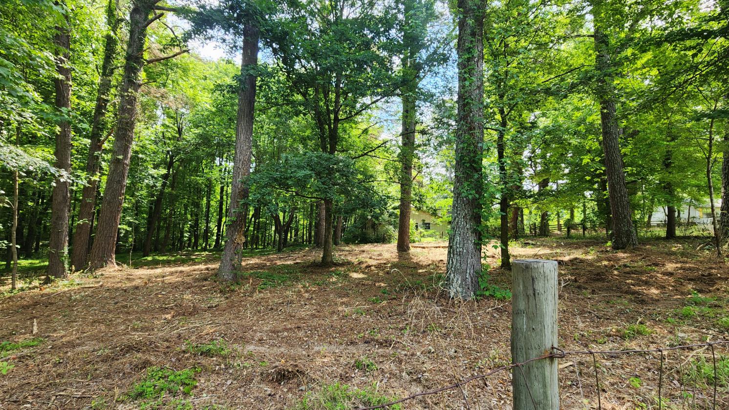 15-Acre Farmstead with guest house and pond - photo 6