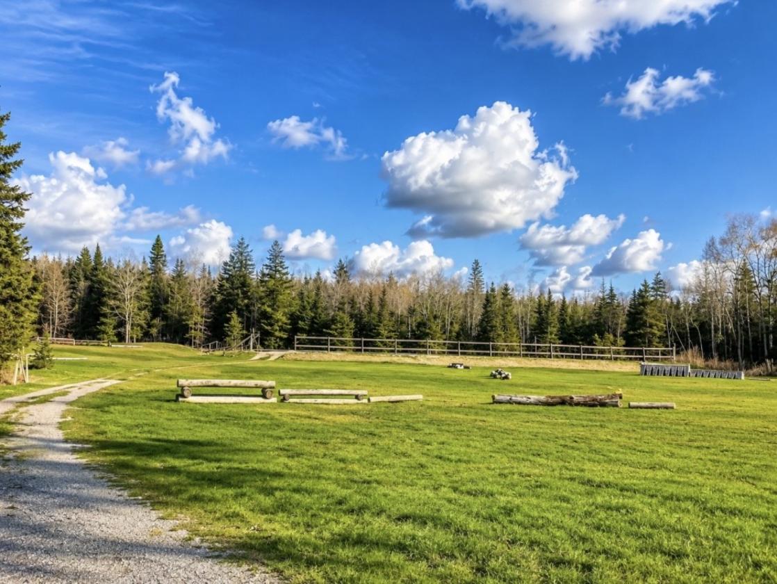 40 Acre Equestrian Property with Indoor Arena - photo 11