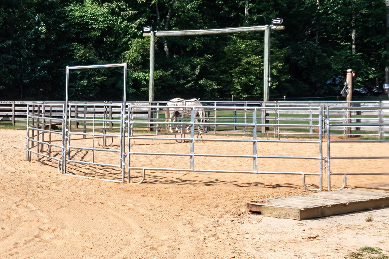 Must SEE Equestrian Property on 25+ acres - photo 14