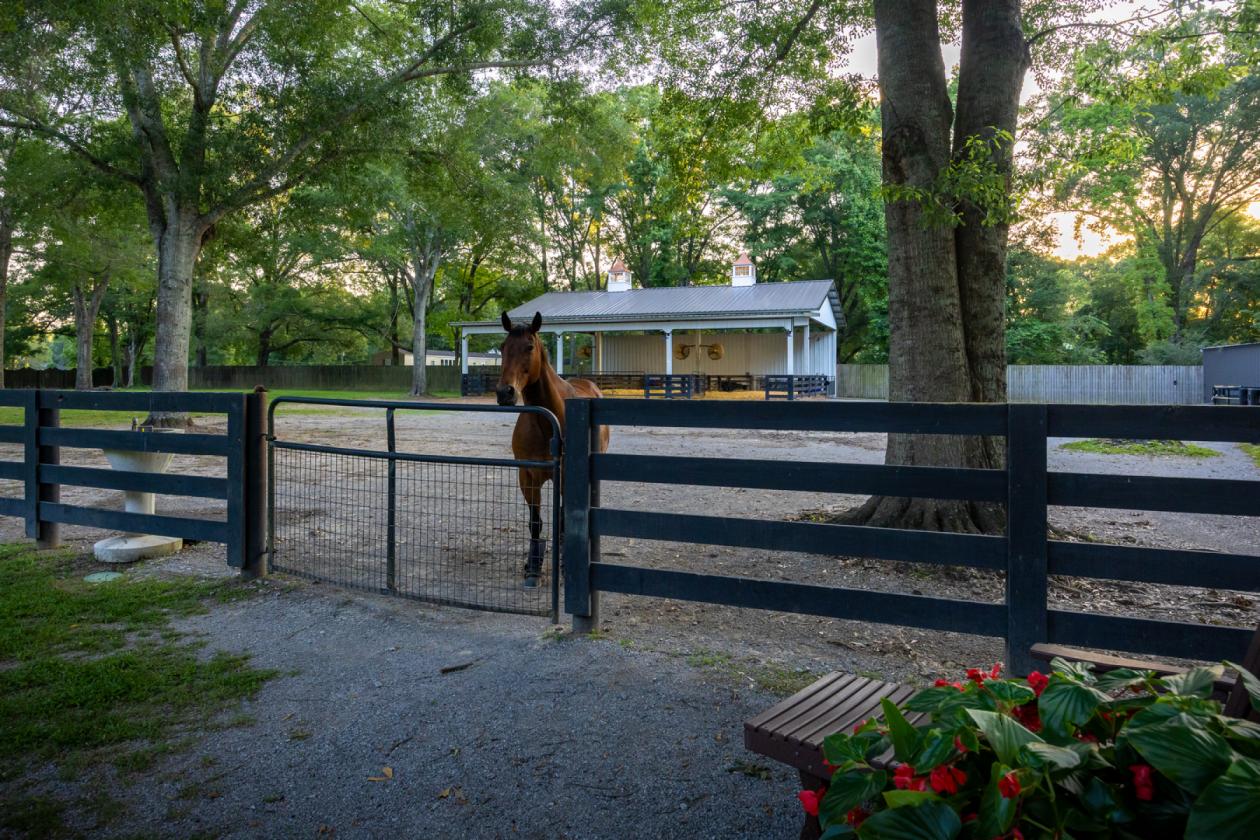 Equestrian Paradise - 5 Acres • Barn • Cross Fenced - photo 4