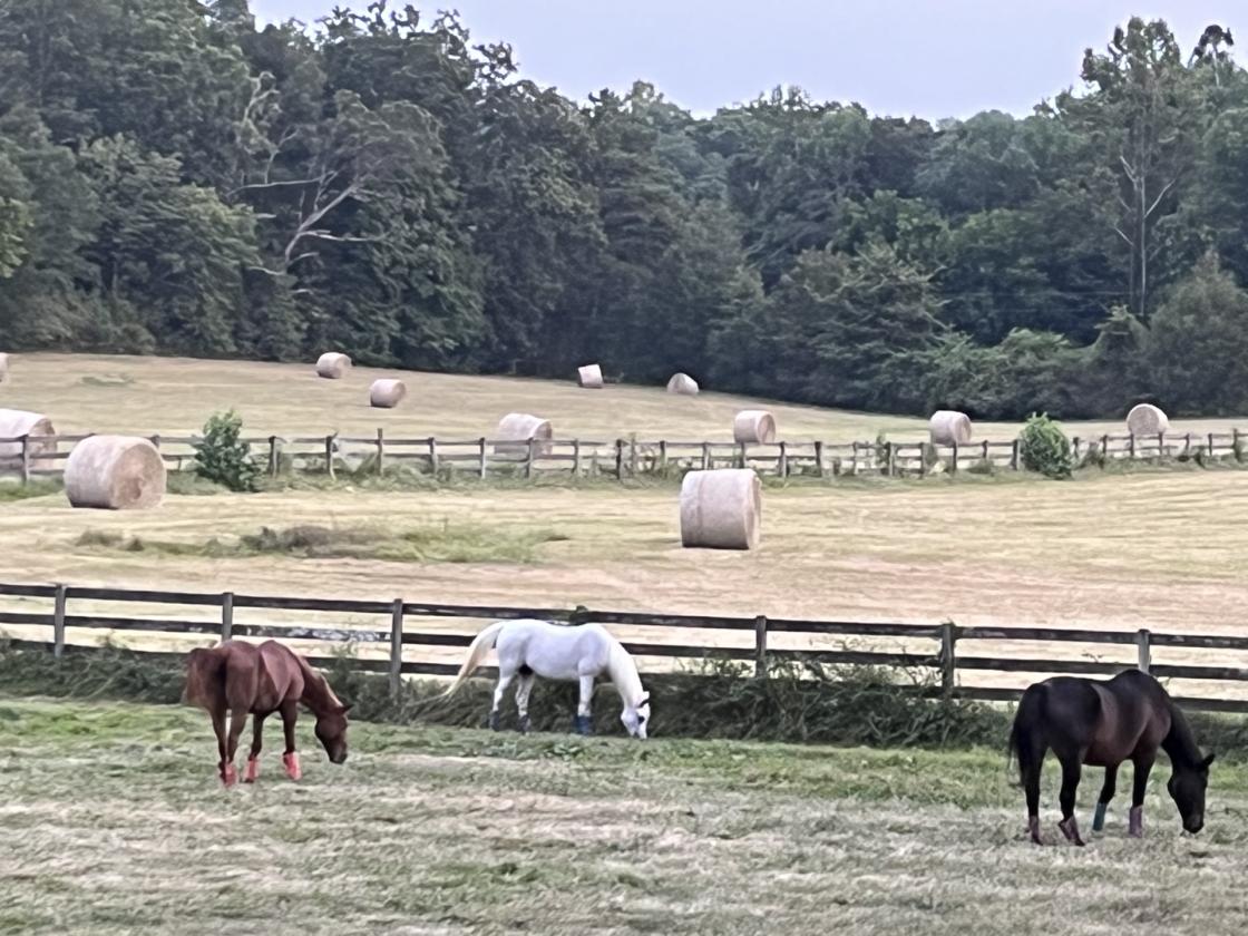 62+ Ac. Horse Property for Sale with Amazing Views - photo 30