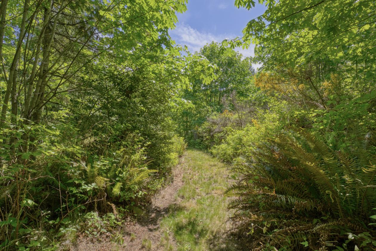 PNW Acreage with trails for Equestrians! - photo 23