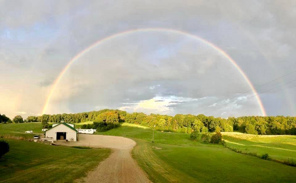 Horse Property for sale.