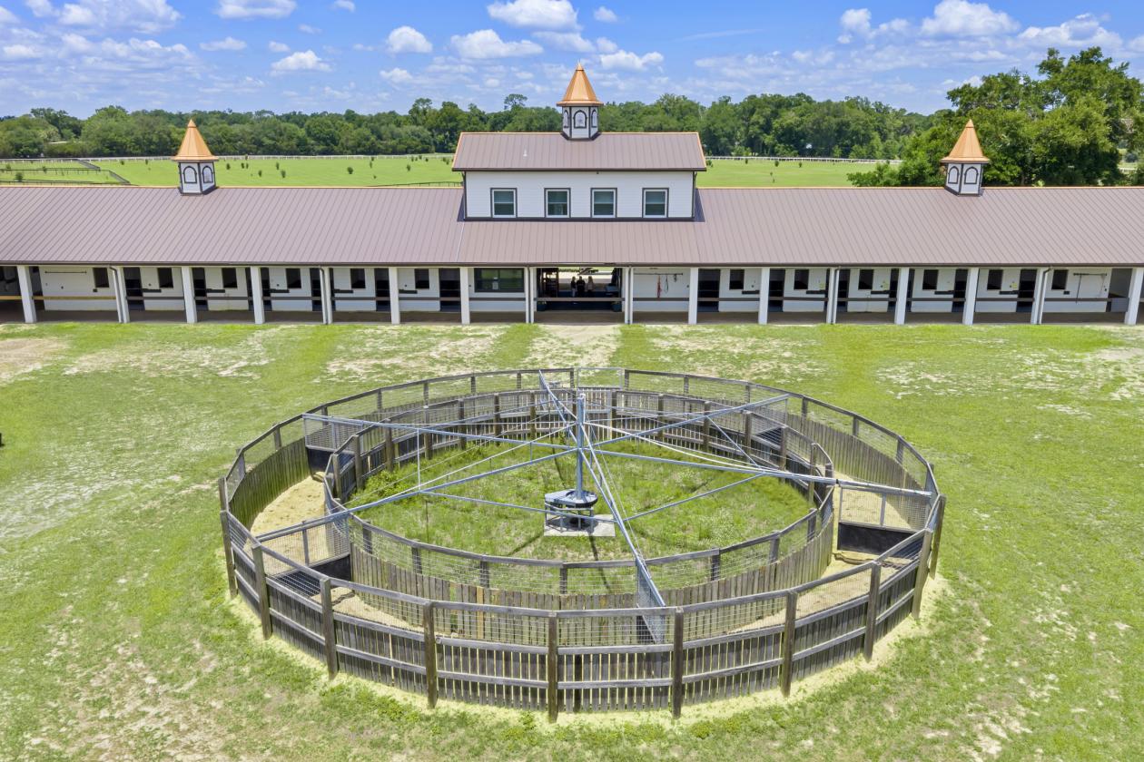 BELLEMONT FARM
YOUR PREMIER TRAINING CENTER - photo 9