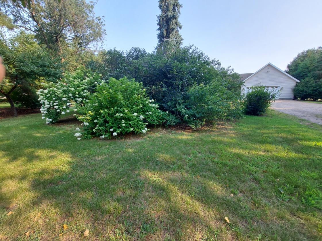 10 Acres & Home 20 min NW of Maple Grove in Otsego - photo 7
