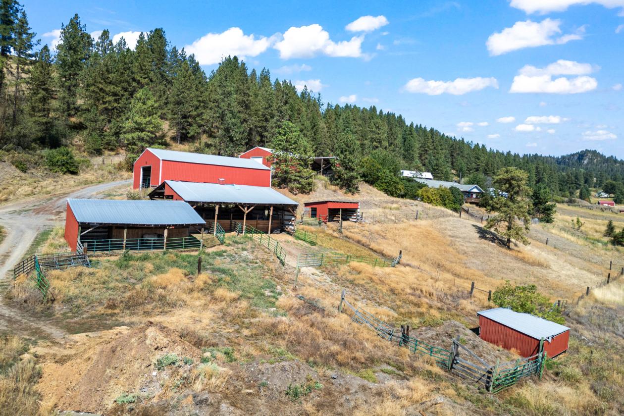 39 acre equestrian property!!! - photo 9