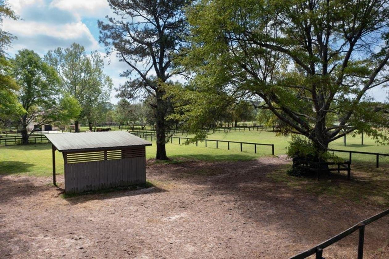 Daisy Hill Farm - Horse Property - photo 23