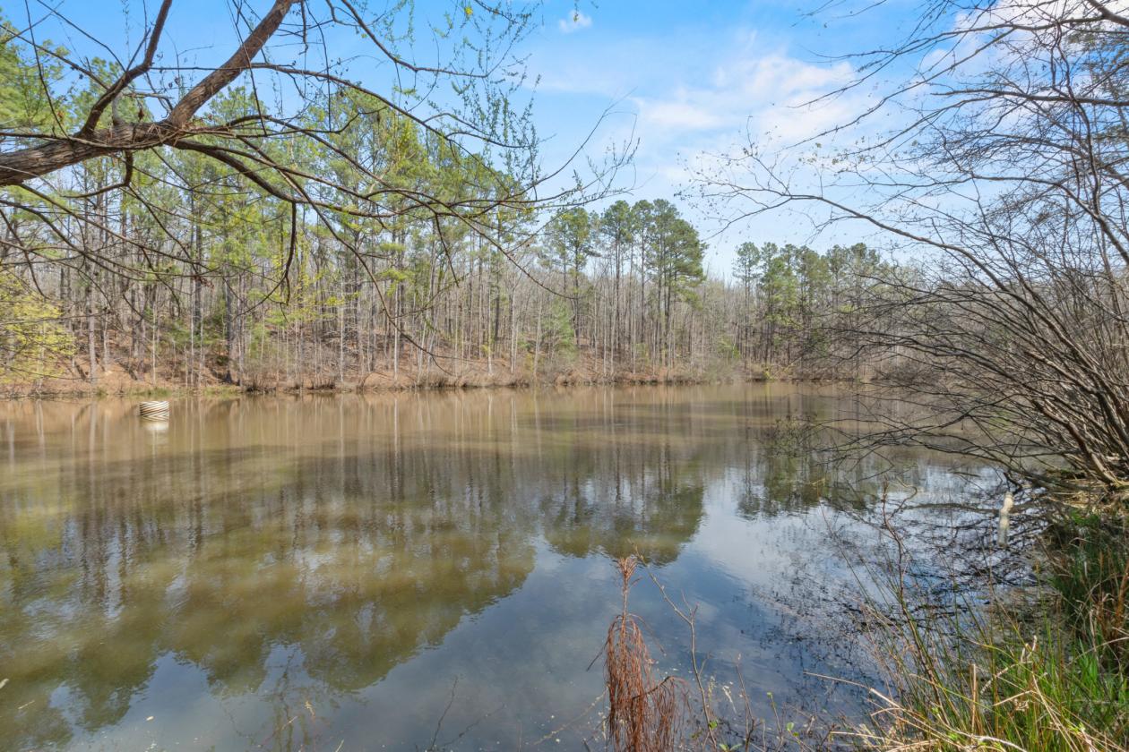 Equestrian Estate on 70 Acres - photo 27