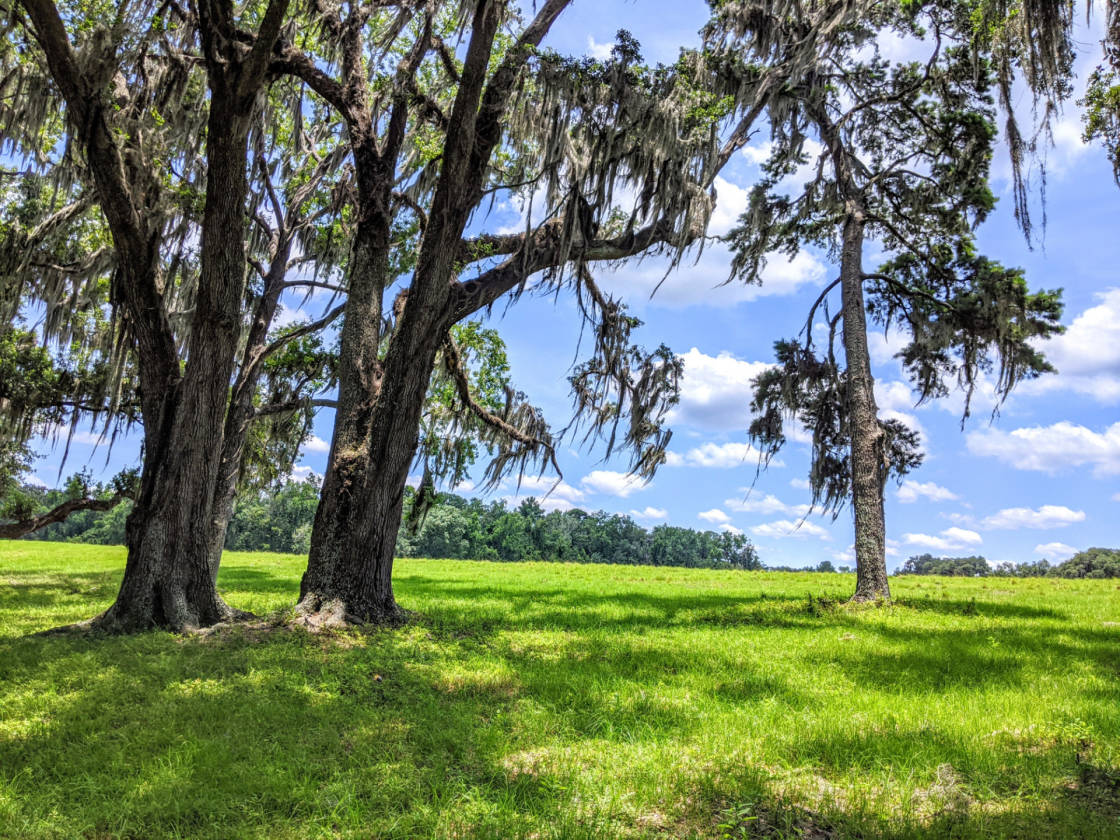 Rooks Ranch 2,193 Acres +\ Operating Cattle Ranch, Row Crop