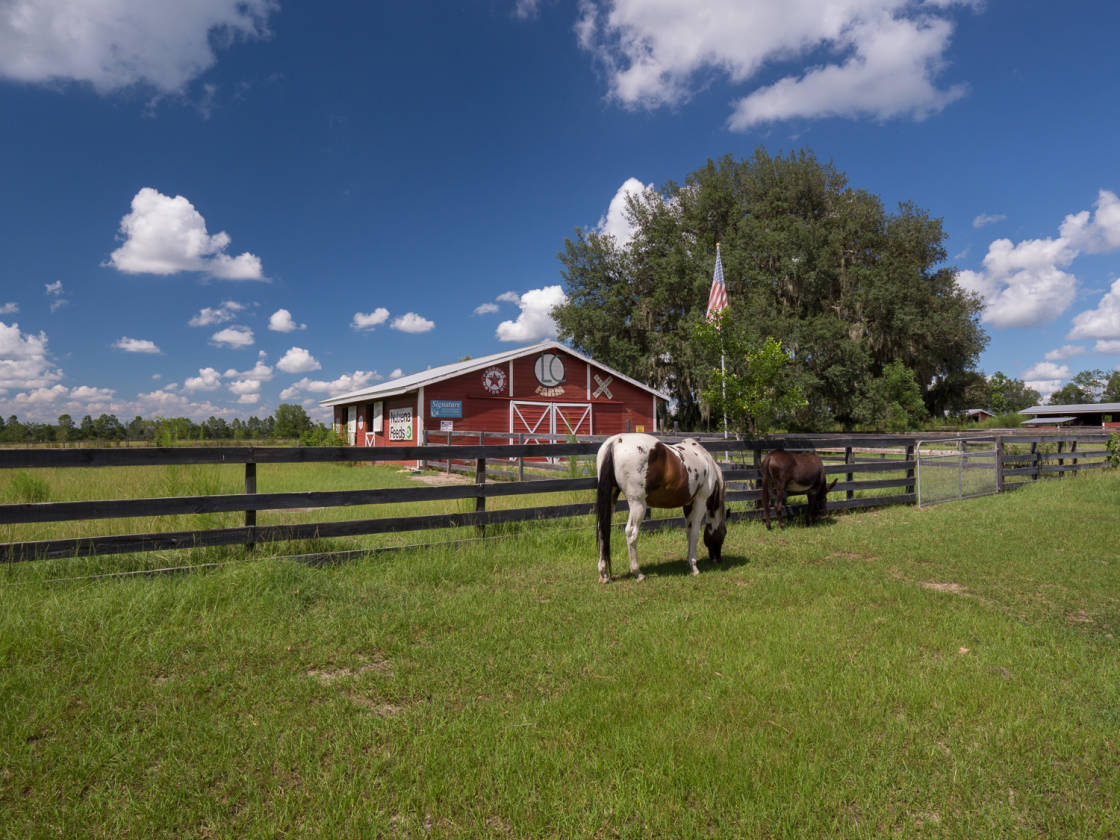 House with acreage High Springs, Alachua County, Florida