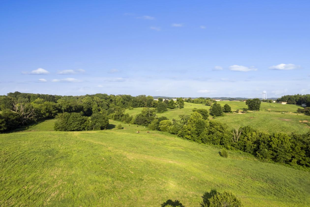 Rolling Hills Farm - photo 29