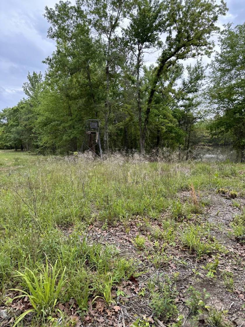 Horse Property for sale.